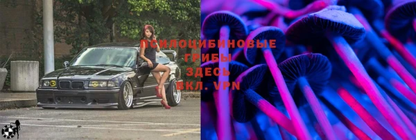 твердый Инсар