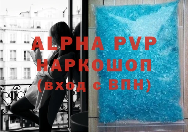 гидра Каменка