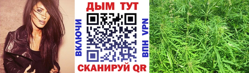 МАРИХУАНА Amnesia  купить наркотик  Судогда 